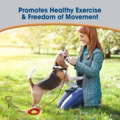 Four Paws Walk-About Spiral Tie-Out Stake for Dogs 10 Four Paws Walk-About Spiral Tie-Out Stake for Dogs -Four Paws Sales 2022 101071 PT2. SY630 V1627354013