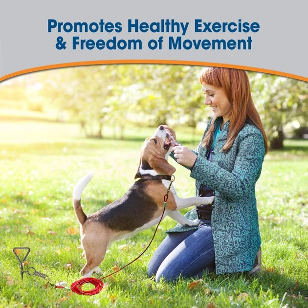 Four Paws Walk-About Spiral Tie-Out Stake for Dogs 5 Four Paws Walk-About Spiral Tie-Out Stake for Dogs - Image 3