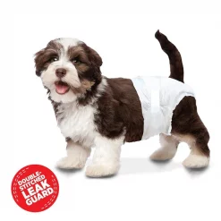 Wee-Wee Disposable Male & Female Dog Diapers -Four Paws Sales 2022 102222 PT2. SY630 V1565795878