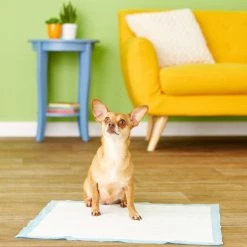 Wee-Wee Absorbent Dog Pee Pads, 22 x 23-in, Unscented 17 Wee-Wee Absorbent Dog Pee Pads, 22 x 23-in, Unscented -Four Paws Sales 2022 124506 PT8. SY630 V1500314140