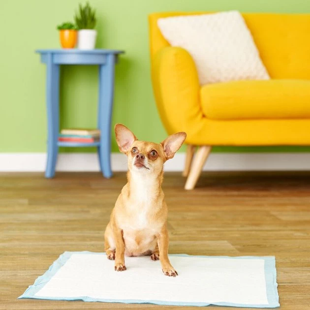 Wee-Wee Absorbent Dog Pee Pads, 22 x 23-in, Unscented 10 Wee-Wee Absorbent Dog Pee Pads, 22 x 23-in, Unscented - Image 8