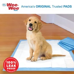 Wee-Wee Eco-Friendly Dog Training Pads, 22 x 23-in, Unscented 14 Wee-Wee Eco-Friendly Dog Training Pads, 22 x 23-in, Unscented -Four Paws Sales 2022 124513 PT3. SY630 V1605144417