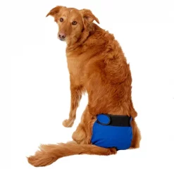 Wee-Wee Disposable Dog Diaper Super Absorbent Liner Pads 17 Wee-Wee Disposable Dog Diaper Super Absorbent Liner Pads -Four Paws Sales 2022 124520 PT8. SY630 V1523312981