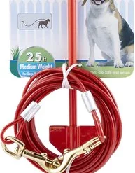 Four Paws Roam About Dog Tie Out Stake