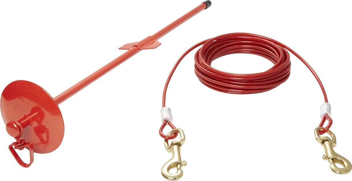 Four Paws Roam About Dog Tie Out Stake 6 Four Paws Roam About Dog Tie Out Stake - Image 4