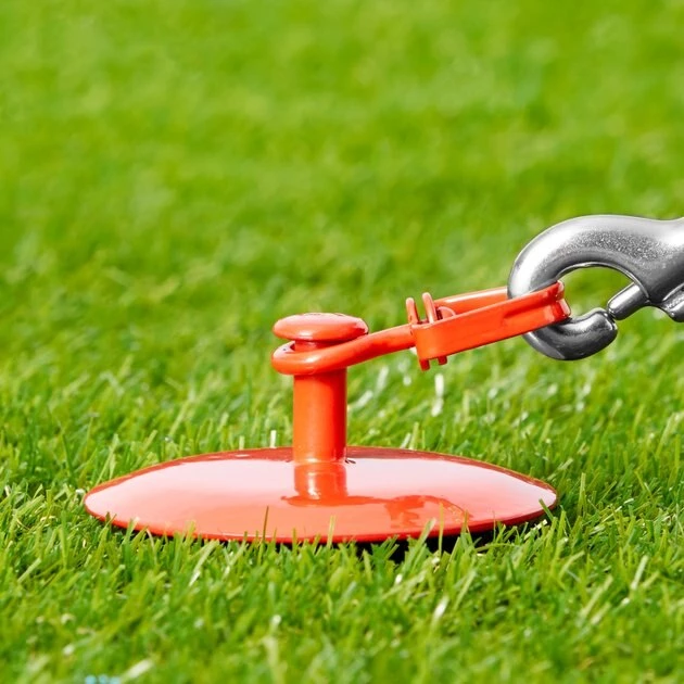 Four Paws Roam About Dog Tie Out Stake 7 Four Paws Roam About Dog Tie Out Stake - Image 5