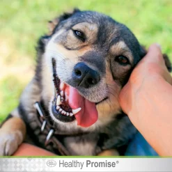Four Paws Healthy Promise Aloe Ear Mite Treatment for Dogs -Four Paws Sales 2022 124565 PT5. SY630 V1657655406
