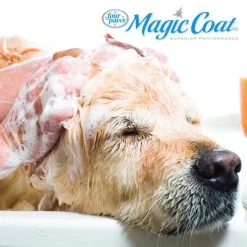Four Paws Magic Coat Antistatic Witch Hazel Dog Shampoo 15 Four Paws Magic Coat Antistatic Witch Hazel Dog Shampoo -Four Paws Sales 2022 133626 PT5. SY630 V1630362687