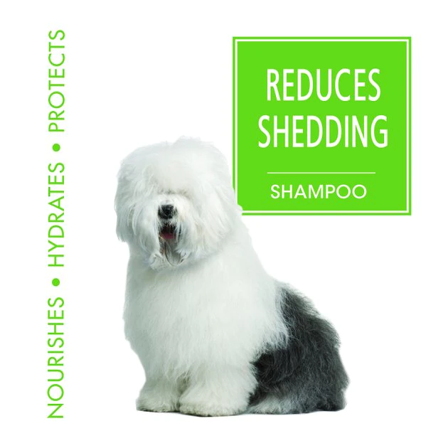 Four Paws Magic Coat Reduces Shedding Shampoo for Dogs, Honey Vanilla Scent 5 Four Paws Magic Coat Reduces Shedding Shampoo for Dogs, Honey Vanilla Scent - Image 3