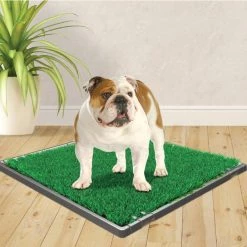 Four Paws Wee-Wee Premium Patch Dog Grass Mat, 22 x 23 in 13 Four Paws Wee-Wee Premium Patch Dog Grass Mat, 22 x 23 in -Four Paws Sales 2022 216074 PT3. SY630 V1578325702