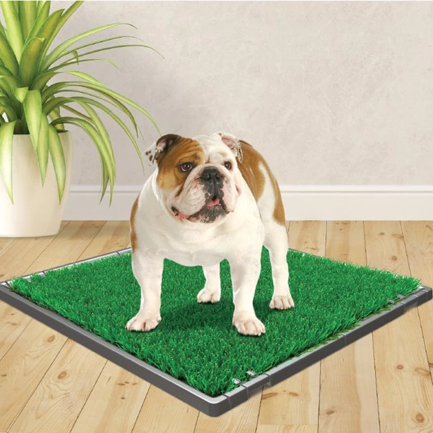 Four Paws Wee-Wee Premium Patch Dog Grass Mat, 22 x 23 in 6 Four Paws Wee-Wee Premium Patch Dog Grass Mat, 22 x 23 in - Image 4