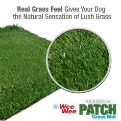 Four Paws Wee-Wee Premium Patch Dog Grass Mat, 22 x 23 in 14 Four Paws Wee-Wee Premium Patch Dog Grass Mat, 22 x 23 in -Four Paws Sales 2022 216074 PT4. SY630 V1578325676