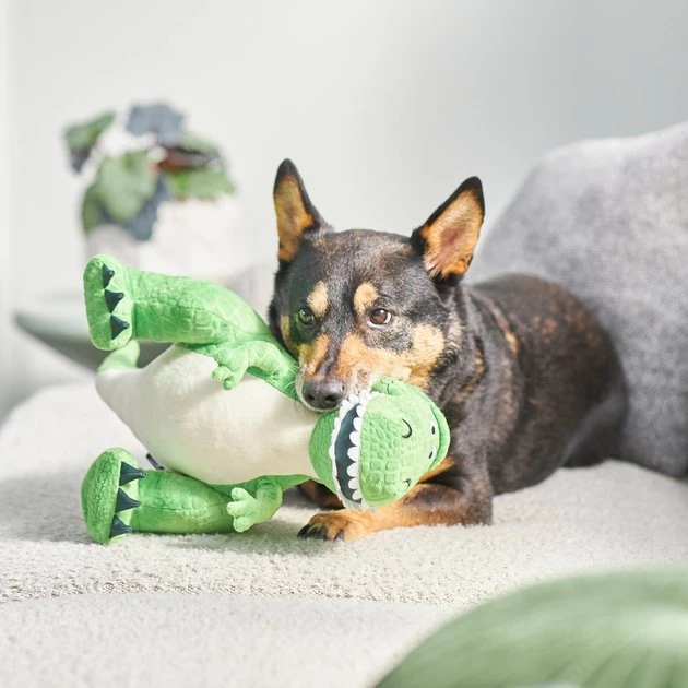 Pixar Rex Plush Squeaky Dog Toy 5 Pixar Rex Plush Squeaky Dog Toy - Image 3