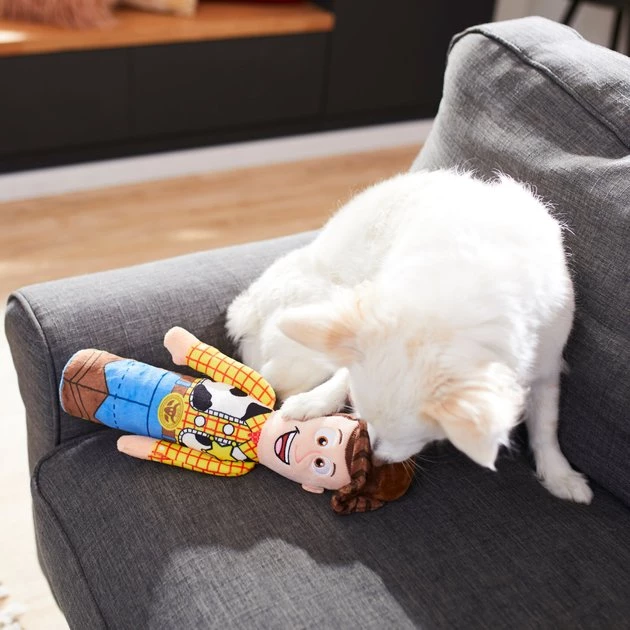 Pixar Woody Bottle Plush Squeaky Dog Toy 5 Pixar Woody Bottle Plush Squeaky Dog Toy - Image 3