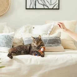 Pixar Woody Bouncy Cat Toy with Catnip -Four Paws Sales 2022 221059 PT3. SY630 V1621382927