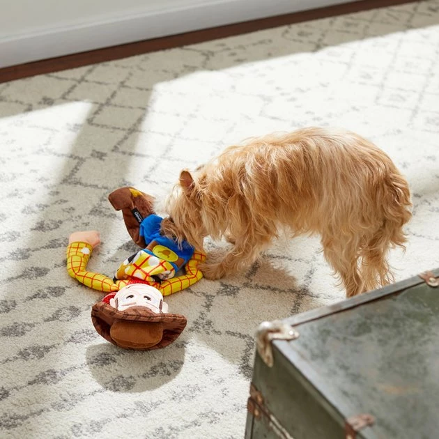 Pixar Woody Bungee Plush Squeaky Dog Toy 5 Pixar Woody Bungee Plush Squeaky Dog Toy - Image 3