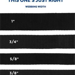 Pixar Toy Story Dog Collar -Four Paws Sales 2022 226353 PT6. SY630 V1629992191