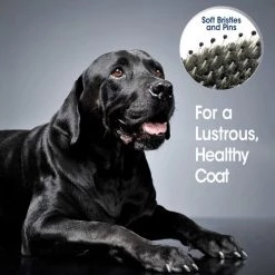 Four Paws Magic Coat Professional Series Flexi-Head Bristle Dog Grooming Brush 16 Four Paws Magic Coat Professional Series Flexi-Head Bristle Dog Grooming Brush -Four Paws Sales 2022 232881 PT5. SY630 V1591710201