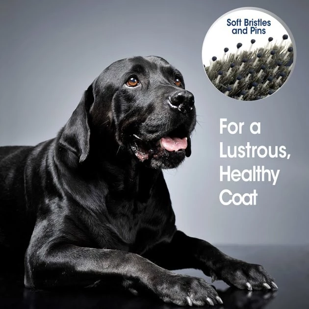 Four Paws Magic Coat Professional Series Flexi-Head Bristle Dog Grooming Brush 8 Four Paws Magic Coat Professional Series Flexi-Head Bristle Dog Grooming Brush - Image 6