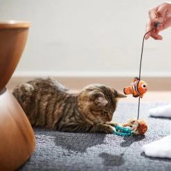 Pixar Nemo & Squirt Bouncy Cat Toy with Catnip -Four Paws Sales 2022 239915 PT3. SY630 V1624648443