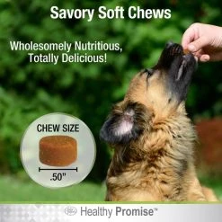 Four Paws Healthy Promise Hip & Joint Support 7x Superblend Liver Flavor Soft Chews Dog Supplement, 72 count 17 Four Paws Healthy Promise Hip & Joint Support 7x Superblend Liver Flavor Soft Chews Dog Supplement, 72 count -Four Paws Sales 2022 249486 PT6. SY630 V1597937165