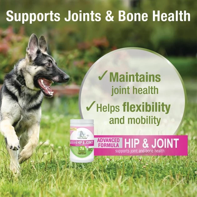 Four Paws Healthy Promise Advanced Formula Hip & Joint Support 7x Superblend Liver Flavor Soft Chews Dog Supplement 6 Four Paws Healthy Promise Advanced Formula Hip & Joint Support 7x Superblend Liver Flavor Soft Chews Dog Supplement - Image 4