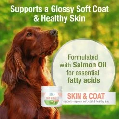 Four Paws Healthy Promise Skin & Coat Support 8x Superblend Liver Flavor Soft Chews Dog Supplement, 90 count -Four Paws Sales 2022 249491 PT3. SY630 V1597940461