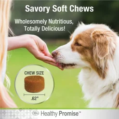Four Paws Healthy Promise Skin & Coat Support 8x Superblend Liver Flavor Soft Chews Dog Supplement, 90 count -Four Paws Sales 2022 249491 PT5. SY630 V1597941777