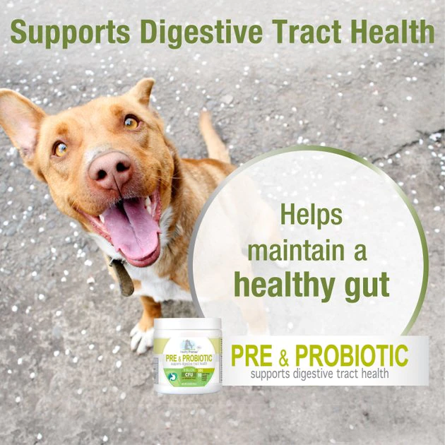 Four Paws Healthy Promise Pre & Probiotics Digestive Tract Health Support Chicken Flavor Soft Chews Dog Supplement, 90 count 8 Four Paws Healthy Promise Pre & Probiotics Digestive Tract Health Support Chicken Flavor Soft Chews Dog Supplement, 90 count - Image 6