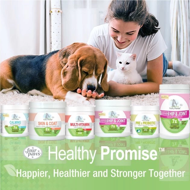 Four Paws Healthy Promise Pre & Probiotics Digestive Tract Health Support Chicken Flavor Soft Chews Dog Supplement, 90 count 11 Four Paws Healthy Promise Pre & Probiotics Digestive Tract Health Support Chicken Flavor Soft Chews Dog Supplement, 90 count - Image 9
