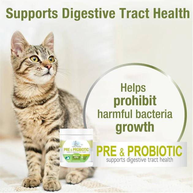 Four Paws Healthy Promise Pre & Probiotics Digestive Tract Health Support Chicken Flavor Soft Chews Cat Supplement, 90 count 6 Four Paws Healthy Promise Pre & Probiotics Digestive Tract Health Support Chicken Flavor Soft Chews Cat Supplement, 90 count - Image 4