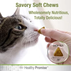 Four Paws Healthy Promise Pre & Probiotics Digestive Tract Health Support Chicken Flavor Soft Chews Cat Supplement, 90 count 16 Four Paws Healthy Promise Pre & Probiotics Digestive Tract Health Support Chicken Flavor Soft Chews Cat Supplement, 90 count -Four Paws Sales 2022 249498 PT5. SY630 V1597931459
