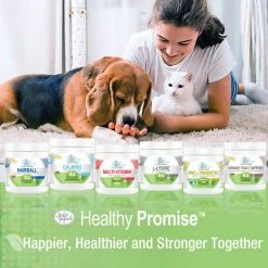 Four Paws Healthy Promise Pre & Probiotics Digestive Tract Health Support Chicken Flavor Soft Chews Cat Supplement, 90 count 19 Four Paws Healthy Promise Pre & Probiotics Digestive Tract Health Support Chicken Flavor Soft Chews Cat Supplement, 90 count -Four Paws Sales 2022 249498 PT8. SY630 V1597937482