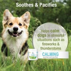Four Paws Healthy Promise Calming 7x Superblend Liver Flavor Soft Chews Dog Supplement, 90 count -Four Paws Sales 2022 249500 PT3. SY630 V1597936257