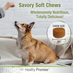 Four Paws Healthy Promise Calming 7x Superblend Liver Flavor Soft Chews Dog Supplement, 90 count -Four Paws Sales 2022 249500 PT6. SY630 V1597941479