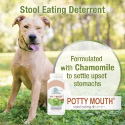 Four Paws Healthy Promise Potty Mouth Tablets Coprophagia Stool Eating Deterrent Supplement for Dogs, 90 count 14 Four Paws Healthy Promise Potty Mouth Tablets Coprophagia Stool Eating Deterrent Supplement for Dogs, 90 count -Four Paws Sales 2022 249504 PT3. SY630 V1597938366