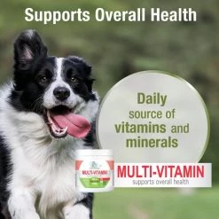 Four Paws Healthy Promise Multi-Vitamin All-In-One Chicken Flavor Soft Chews Dog Supplement, 120 count -Four Paws Sales 2022 249506 PT3. SY630 V1597942673