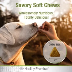 Four Paws Healthy Promise Multi-Vitamin All-In-One Chicken Flavor Soft Chews Dog Supplement, 120 count -Four Paws Sales 2022 249506 PT5. SY630 V1597935210