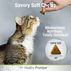 Four Paws Healthy Promise Urinary Tract Support 6x Superblend Chicken & Cheese Flavor Soft Chews Cat Supplement, 110 count -Four Paws Sales 2022 249510 PT6. SY630 V1597939048