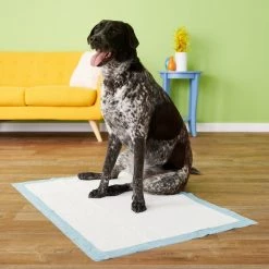 Wee-Wee Pads Gigantic Dog Pee Pads, 27.5 x 44-in, Unscented -Four Paws Sales 2022 253494 PT6. SY630 V1632174377