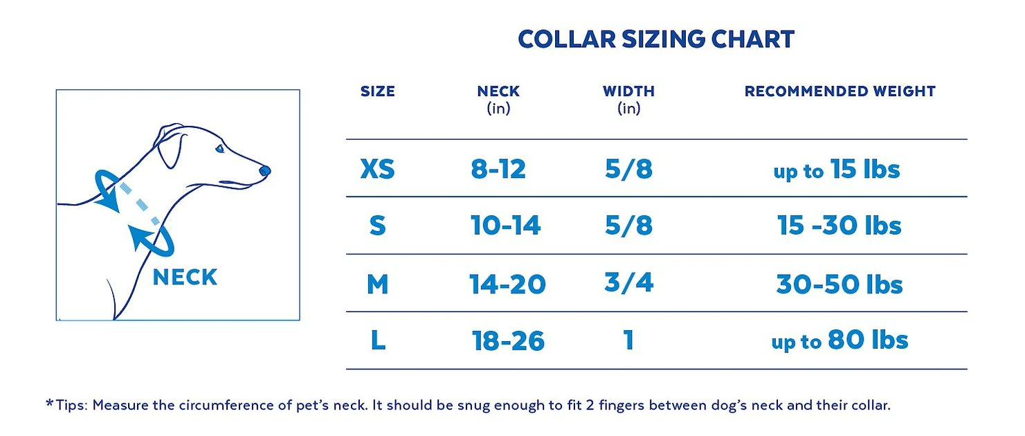 Pixar Coco Dog Collar 4 Pixar Coco Dog Collar - Image 2