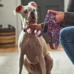 Pixar Coco Dog Leash 7 Pixar Coco Dog Leash -Four Paws Sales 2022 272947 PT8. SY630 V1623879802