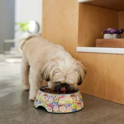 Pixar Toy Story Stainless Steel & Melamine Dog & Cat Bowl -Four Paws Sales 2022 280640 PT2. SY630 V1629987138