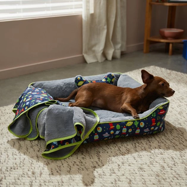 Pixar Toy Story Pet Bed & Gift Set 3 Pixar Toy Story Pet Bed & Gift Set