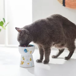 Pixar Finding Nemo Tall Shape Non-Skid Elevated Ceramic Cat Bowl -Four Paws Sales 2022 291430 PT3. SY630 V1633978366
