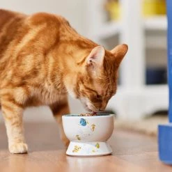Pixar Finding Nemo Short Shape Non-Skid Elevated Ceramic Cat Bowl, 1.0 Cup 9 Pixar Finding Nemo Short Shape Non-Skid Elevated Ceramic Cat Bowl, 1.0 Cup -Four Paws Sales 2022 291431 PT3. SY630 V1633978887
