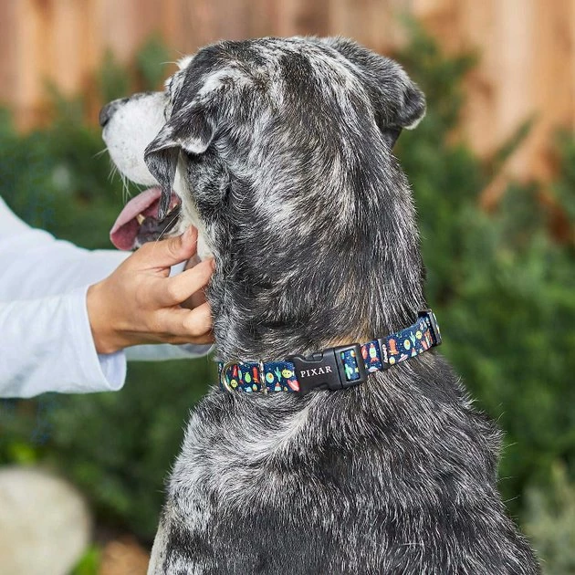 Pixar Toy Story Collar + Dog Leash 6 Pixar Toy Story Collar + Dog Leash - Image 4