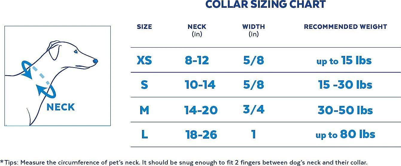 Pixar Toy Story Collar + Dog Leash 7 Pixar Toy Story Collar + Dog Leash - Image 5