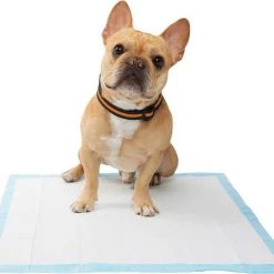 Wee-Wee||Frisco Wee-Wee Pad On Target Trainer + Frisco Dog Training & Potty Pads, 22 x 23-in, 200 count, Unscented 17 Wee-Wee||Frisco Wee-Wee Pad On Target Trainer + Frisco Dog Training & Potty Pads, 22 x 23-in, 200 count, Unscented -Four Paws Sales 2022 303768 PT6. SY630 V1623076052