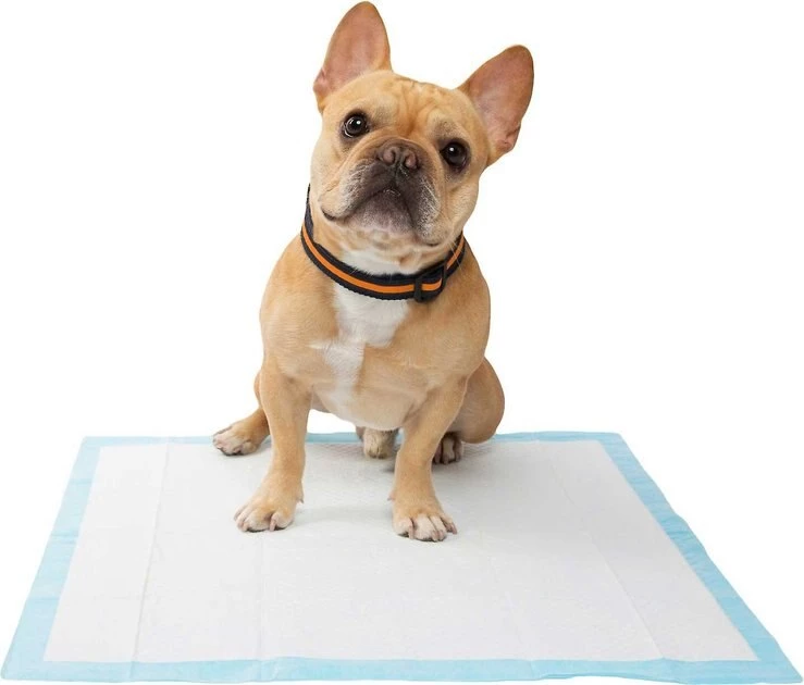 Wee-Wee||Frisco Wee-Wee Pad On Target Trainer + Frisco Dog Training & Potty Pads, 22 x 23-in, 200 count, Unscented 9 Wee-Wee||Frisco Wee-Wee Pad On Target Trainer + Frisco Dog Training & Potty Pads, 22 x 23-in, 200 count, Unscented - Image 7